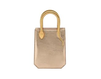 Serpentine Mini Tote